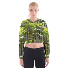 Bitter Melon Cropped Sweatshirt by artworkshop