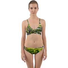 Bitter Melon Wrap Around Bikini Set by artworkshop