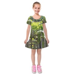 Bitter Melon Kids  Short Sleeve Velvet Dress by artworkshop