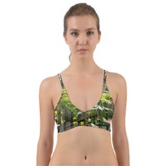 Bitter Melon Wrap Around Bikini Top by artworkshop