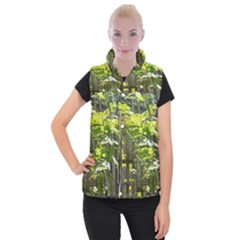 Bitter Melon Women s Button Up Vest by artworkshop