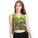 Bitter Melon V-Neck Cropped Tank Top View1