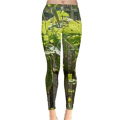 Bitter Melon Inside Out Leggings by artworkshop