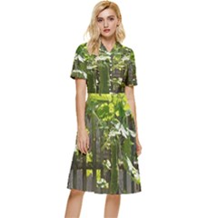 Bitter Melon Button Top Knee Length Dress by artworkshop