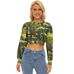 Bitter Melon Lightweight Long Sleeve Sweatshirt