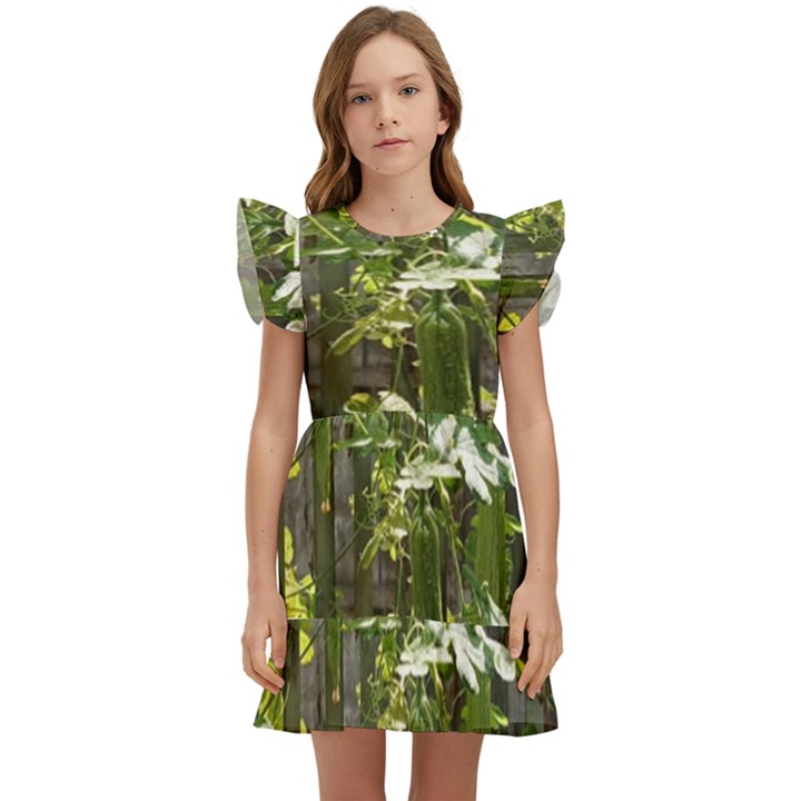 Bitter Melon Kids  Winged Sleeve Dress