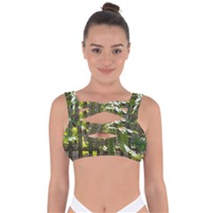 Bitter Melon Bandaged Up Bikini Top by artworkshop