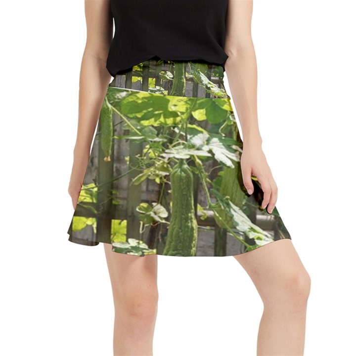 Bitter Melon Waistband Skirt