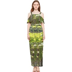 Bitter Melon Draped Sleeveless Chiffon Jumpsuit by artworkshop