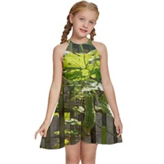 Bitter Melon Kids  Halter Collar Waist Tie Chiffon Dress