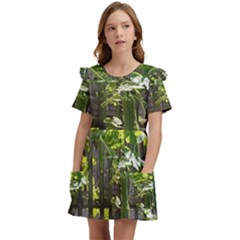 Bitter Melon Kids  Frilly Sleeves Pocket Dress