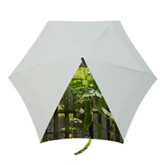 Bitter Melon Mini Folding Umbrellas by artworkshop