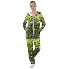 Bitter Melon Women s Tracksuit by artworkshop