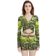 Bitter Melon Velvet Wrap Crop Top And Shorts Set by artworkshop