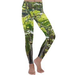 Bitter Melon Kids  Lightweight Velour Classic Yoga Leggings by artworkshop