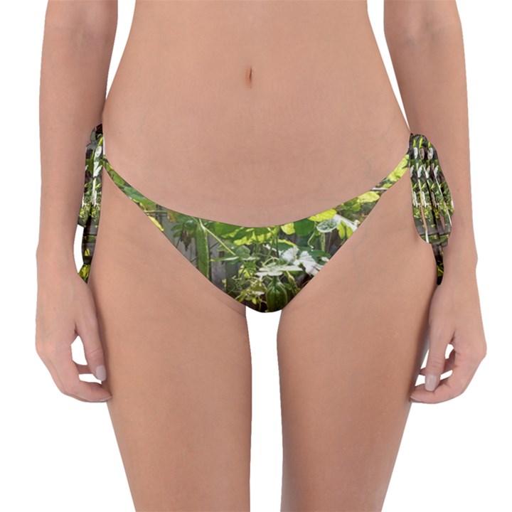 Bitter Melon Reversible Bikini Bottom