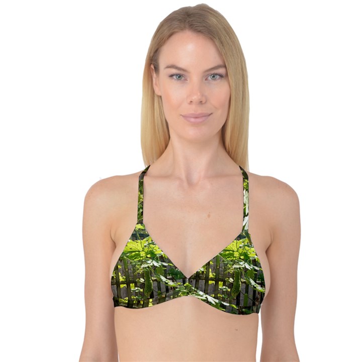 Bitter Melon Reversible Tri Bikini Top