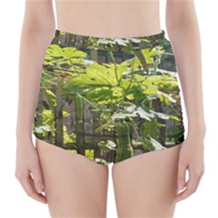 Bitter Melon High-waisted Bikini Bottoms by artworkshop