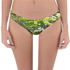 Bitter Melon Reversible Hipster Bikini Bottoms by artworkshop