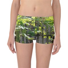 Bitter Melon Reversible Boyleg Bikini Bottoms by artworkshop