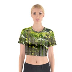 Bitter Melon Cotton Crop Top by artworkshop