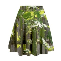 Bitter Melon High Waist Skirt by artworkshop