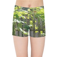 Bitter Melon Kids  Sports Shorts by artworkshop