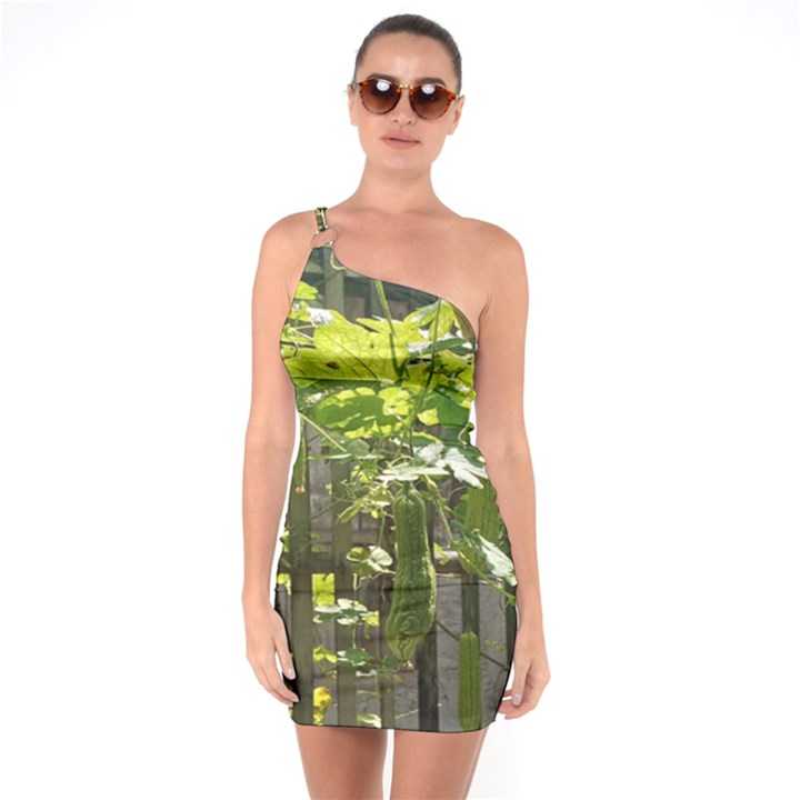 Bitter Melon One Soulder Bodycon Dress