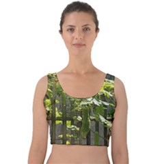 Bitter Melon Velvet Crop Top by artworkshop