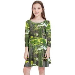 Bitter Melon Kids  Quarter Sleeve Skater Dress