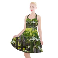 Bitter Melon Halter Party Swing Dress 