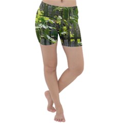 Bitter Melon Lightweight Velour Yoga Shorts by artworkshop