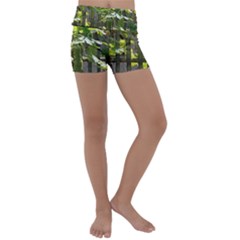 Bitter Melon Kids  Lightweight Velour Yoga Shorts by artworkshop