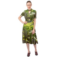 Bitter Melon Keyhole Neckline Chiffon Dress by artworkshop