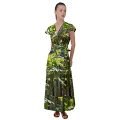 Bitter Melon Flutter Sleeve Maxi Dress