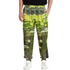 Bitter Melon Men s Elastic Waist Pants by artworkshop