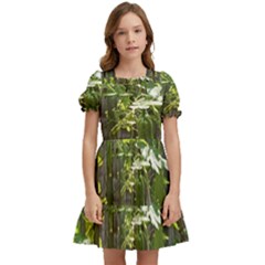 Bitter Melon Kids  Puff Sleeved Dress