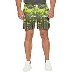 Bitter Melon Men s Runner Shorts