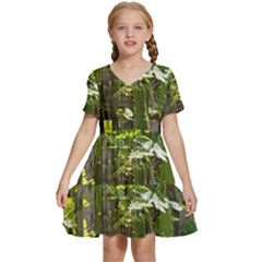 Bitter Melon Kids  Short Sleeve Tiered Mini Dress