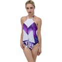 Bastille Galaksi Go with the Flow One Piece Swimsuit View1