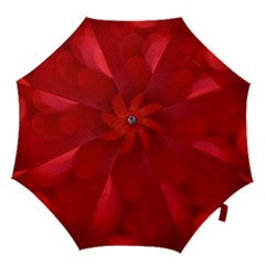 Hd-wallpaper 3 Hook Handle Umbrellas (large) by nate14shop