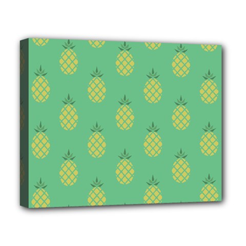 Pineapple Deluxe Canvas 20  X 16  (stretched) by nate14shop