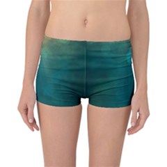 Background Green Reversible Boyleg Bikini Bottoms