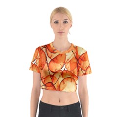 Orange Cotton Crop Top