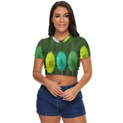 Dandelions Side Button Cropped Tee