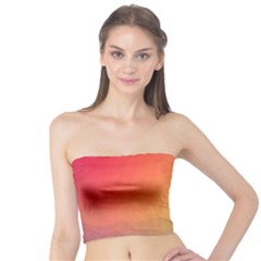 Colorful Rainbow Tube Top by artworkshop