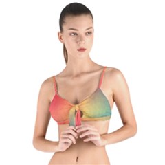 Colorful Rainbow Tie Up Cut Bikini Top by artworkshop