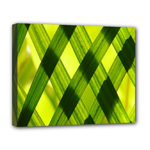 Leaves Grass Woven Deluxe Canvas 20  X 16  (stretched) by artworkshop