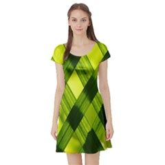 Leaves Grass Woven Short Sleeve Skater Dress by artworkshop