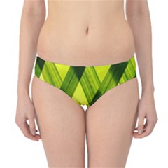 Leaves Grass Woven Hipster Bikini Bottoms by artworkshop